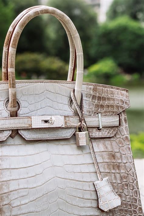 himalayan birkin 35cm hermes|hermes himalayan birkin owners.